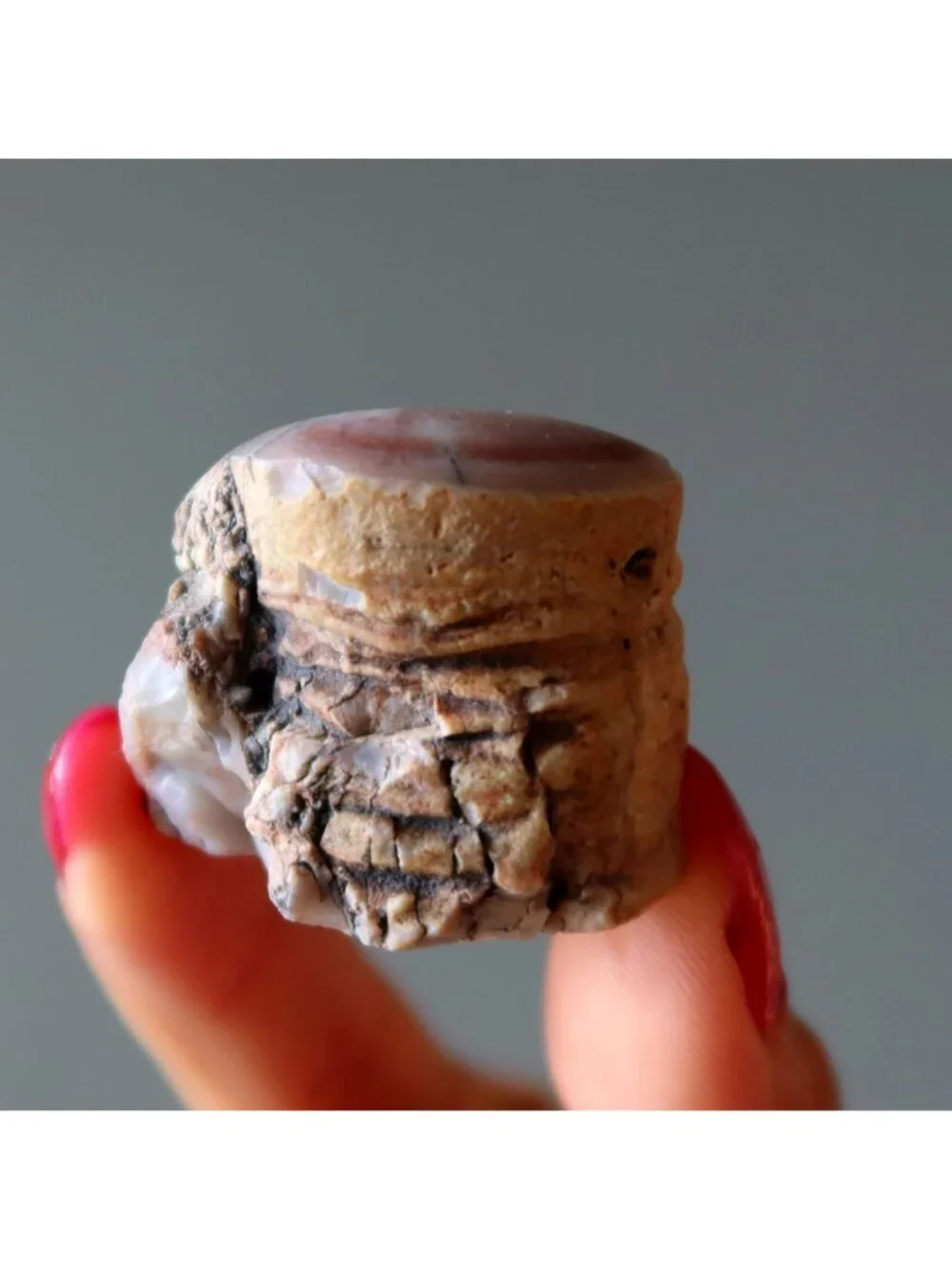 Agatized Petrified Wood Stone Specimen Pink Agate Jasper Rough Mineral